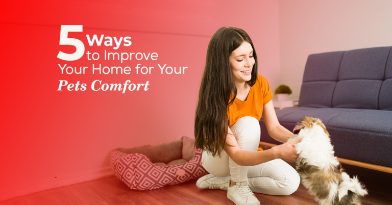 ways-to-improve-your-pets-home-comfort
