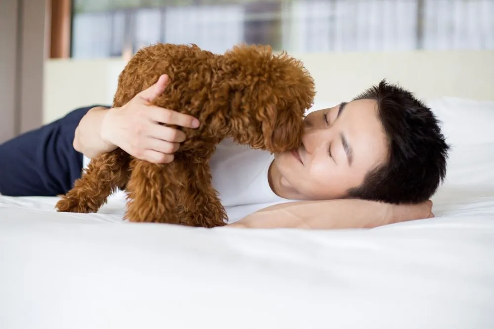 pets-friendly-indoor-air-quality